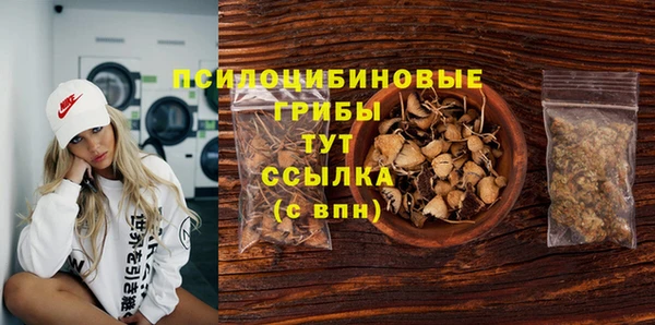 соль курить ск Горно-Алтайск