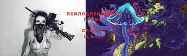 соль курить ск Горно-Алтайск