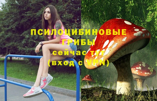 ПСИЛОЦИБИНОВЫЕ ГРИБЫ Вязьма