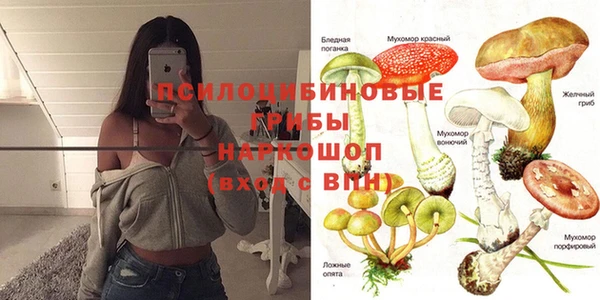 apvp Горнозаводск