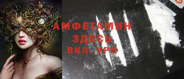 ПСИЛОЦИБИНОВЫЕ ГРИБЫ Горняк