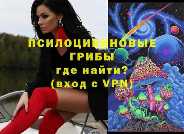 ПСИЛОЦИБИНОВЫЕ ГРИБЫ Горняк
