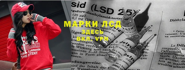 ПСИЛОЦИБИНОВЫЕ ГРИБЫ Горняк