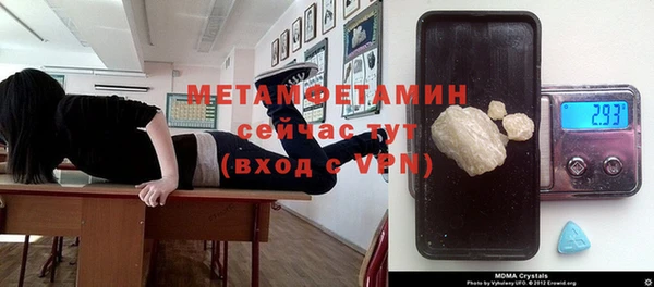 ПСИЛОЦИБИНОВЫЕ ГРИБЫ Горняк