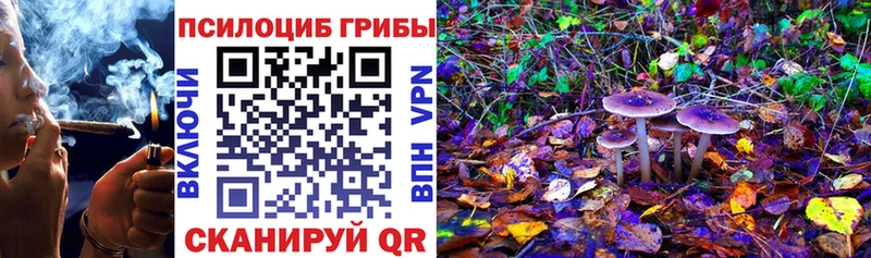Галлюциногенные грибы ЛСД  Купить закладки  Мурино 